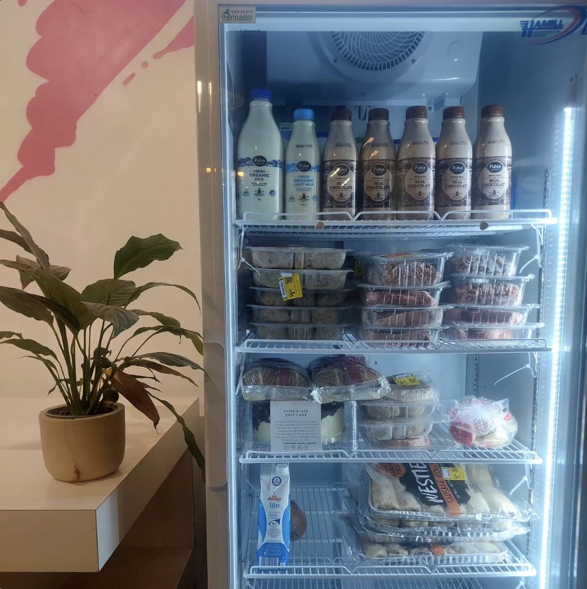 The Front Door gallery 3